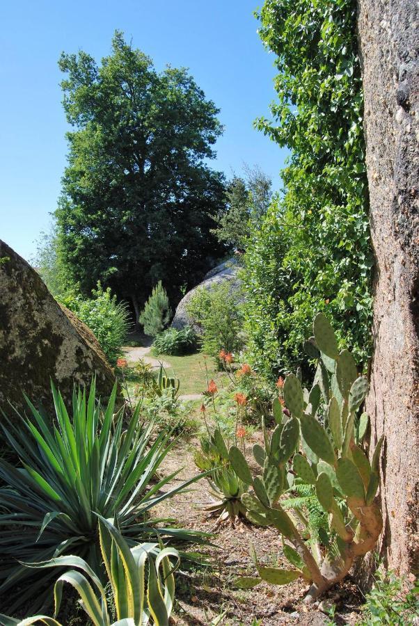 Quinta Das Murteiras Aparthotel Póvoa de Midões Εξωτερικό φωτογραφία